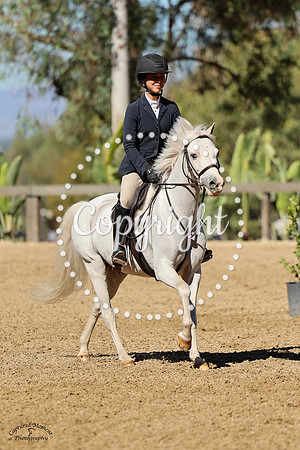 Gf_Limited_Edition_(589)_20241010_4730
