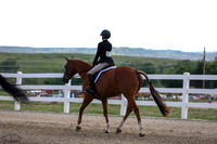 Ucelo_De_Kergane_(1071)_20250620_0323