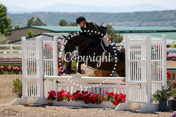 Silvermark_(1920)_20250619_1389