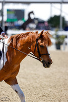 Landor_(837)_20250514_0454