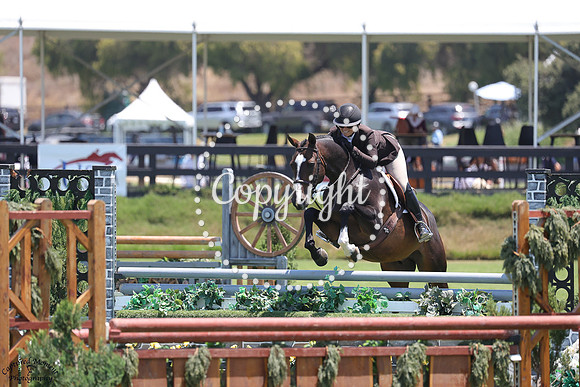 Qoriolis_Effect_Scf_(630)_20250716_1120