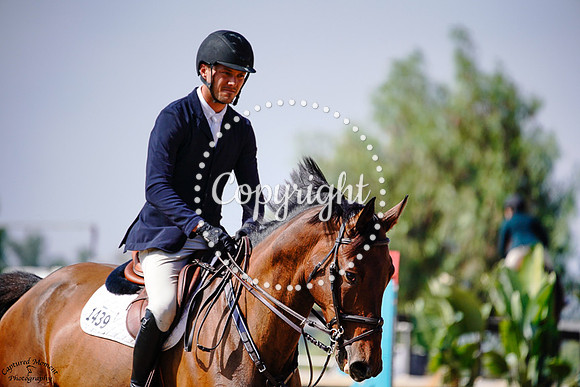 Darcos_Ticket_To_Ride_(1439)_20241016_1220