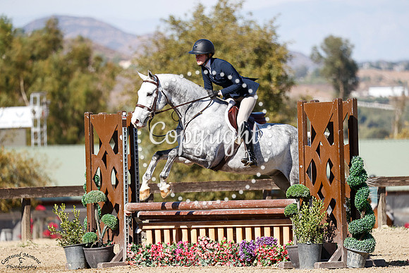 Chippetto_(680)_20241011_0396
