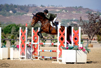 Grandorado_Surprise_(622)_20241016_1934