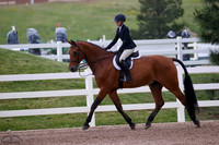 Foster_(1033)_20250612_0857
