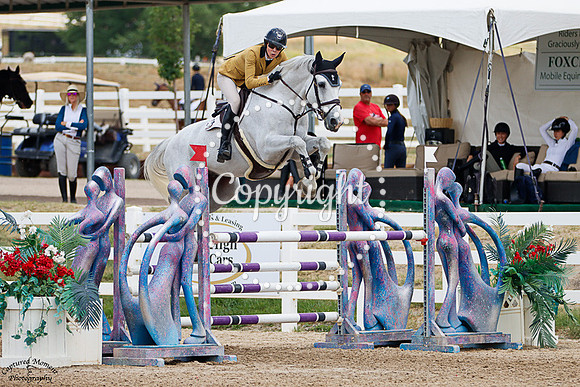 Euro_Minotais_(1229)_20250711_0214