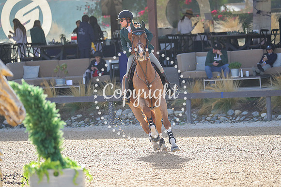 Aviator_Z_(655)_20241018_3409