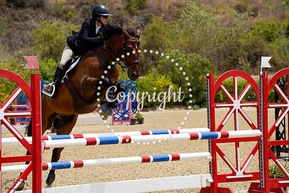Legion_Of_Escus_Z_(308)_20250717_2350