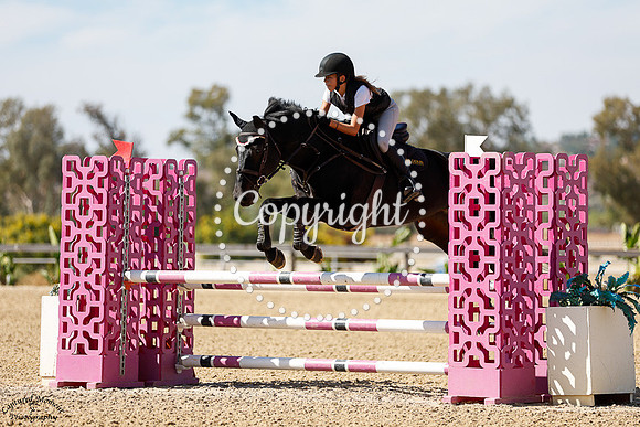 Cascade_D_Amour_(761)_20241011_0471