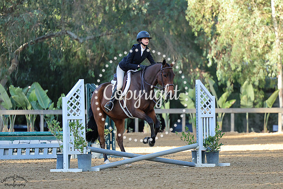 Spardoctro_(1498)_20241019_0965