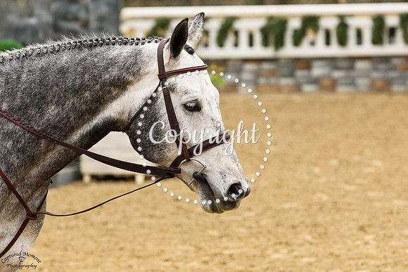 Kannon_Hill_(434)_20250415_0098