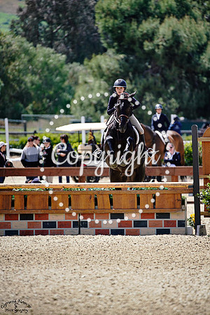 BOY_WONDER_(489)_20250404_1918