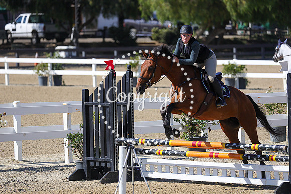 Zula_(1316)_20250628_4684