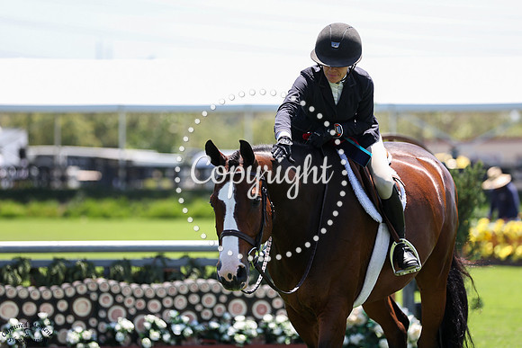 Chimansky_3_(813)_20250515_2385