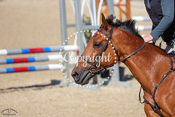 Zula_(1316)_20250628_4644