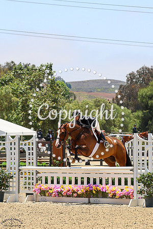 Chimansky_3_(479)_20250612_1266