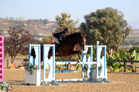 Karefree_(209)_20241003_0447