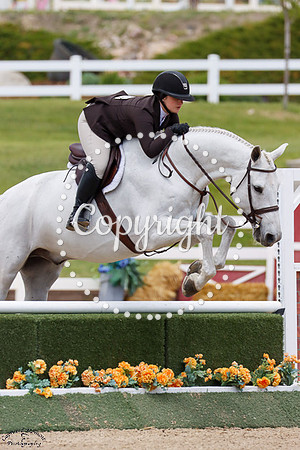 Silver_Oak_(179)_20250517_2107