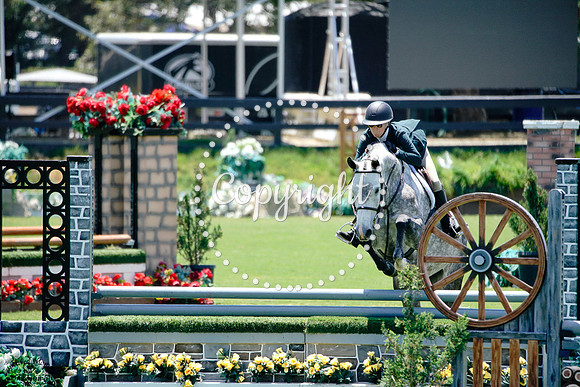 Cordolina_(774)_20250619_1995