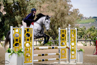 Langaller_Second_Chance_(647)_20250423_0878