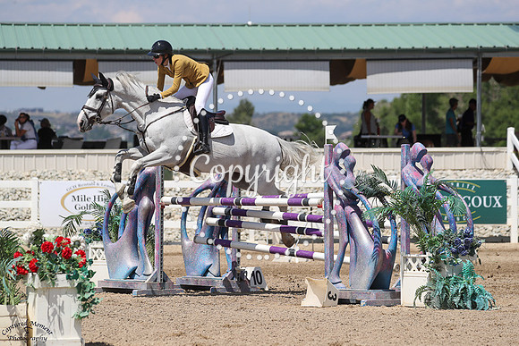 Euro_Minotais_(1229)_20250713_0514