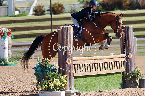 Got_Your_Back_(690)_20250703_1941