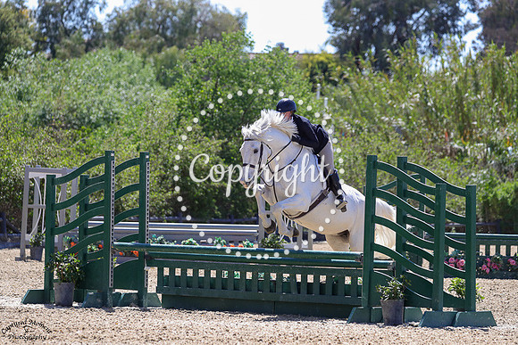 UNFORGETTABLE_(392)_20250403_0916