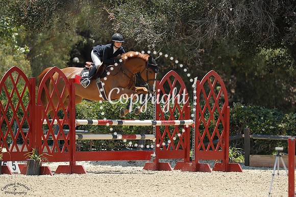 Wt_Leap_Of_Faith_(146)_20250717_0563