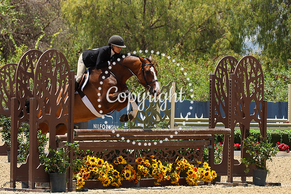 Chimansky_3_(479)_20250612_1268