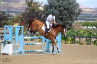 Fou_Que_De_Toi_(430)_20241003_1403