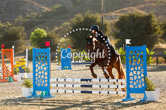 Donacelli_(828)_20241011_5660