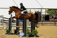 Norton_De_Landetta_Z_(1315)_20250626_9445