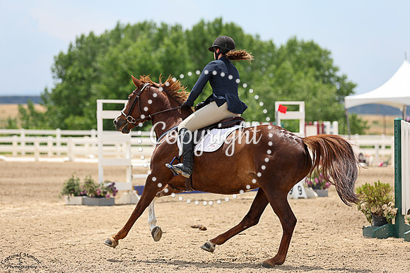 Pcharm_(512)_20250711_1493