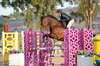 Karefree_(209)_20241003_9361