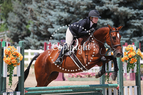 Faith_(991)_20250711_4099