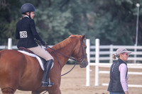 Querido_Viii_(1439)_20250709_0398