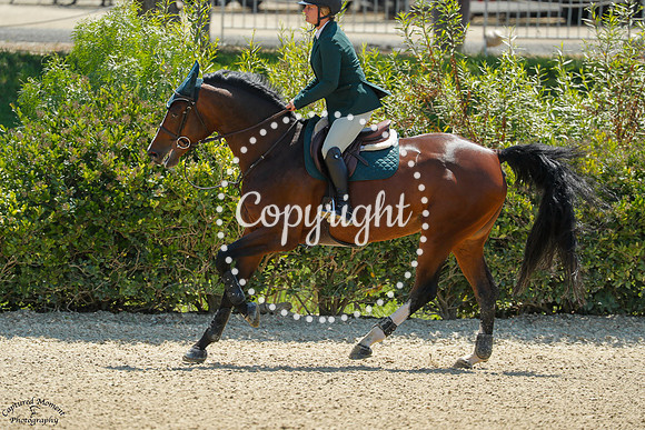 Lady_Bird_(547)_20250716_0349