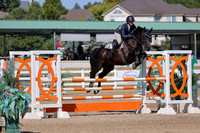 Diamond_(1196)_20240914_4700
