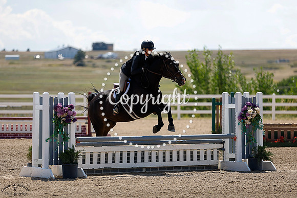 Magic_Carpet_(1191)_20240911_0170