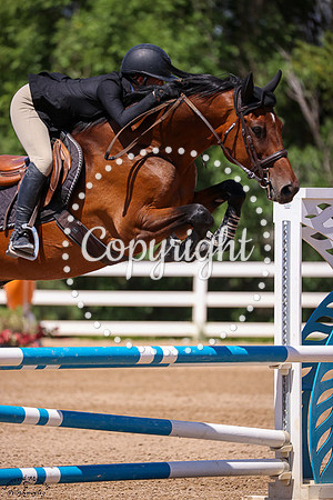 Domingo_(1306)_20250719_0488