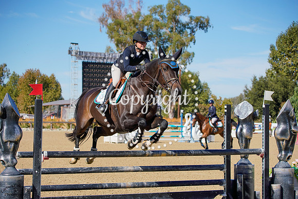 Jurania_Vant_Lozerhof_(386)_20241011_0008