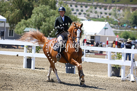Andiamo_(853)_20250409_0237