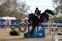 Kayenne_Z_(869)_20250410_3566
