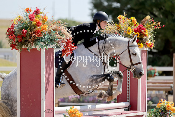 Ballantine_(1076)_20240913_3444