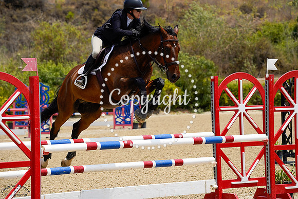 Legion_Of_Escus_Z_(308)_20250717_2351