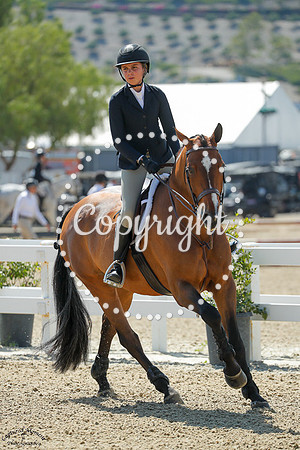 Qualisy_(708)_20250718_2325