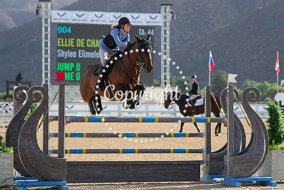 Ellie_De_Chasnay_(904)_20241018_3249