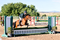 Woodlands_Qt_Pie_(524)_20240904_0107