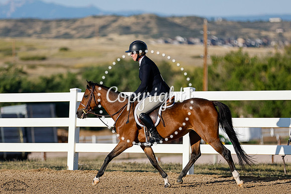 Woodlands_Qt_Pie_(1100)_20240912_0060