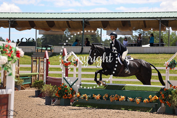 Back_To_Black_(632)_20250704_0474